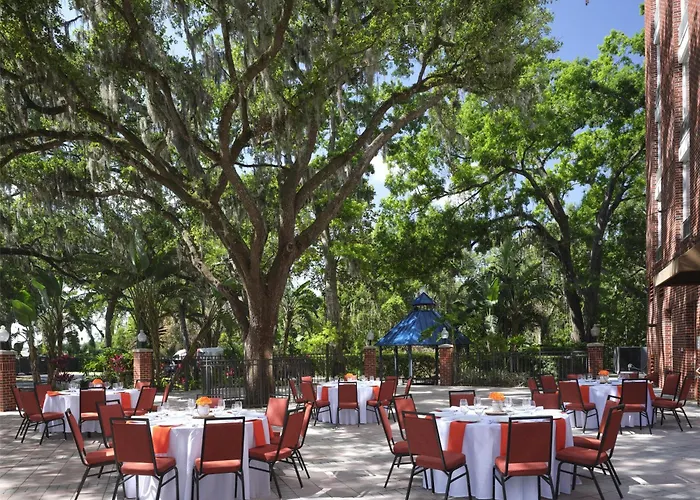 Hilton Garden Inn Tampa East Brandon Mango