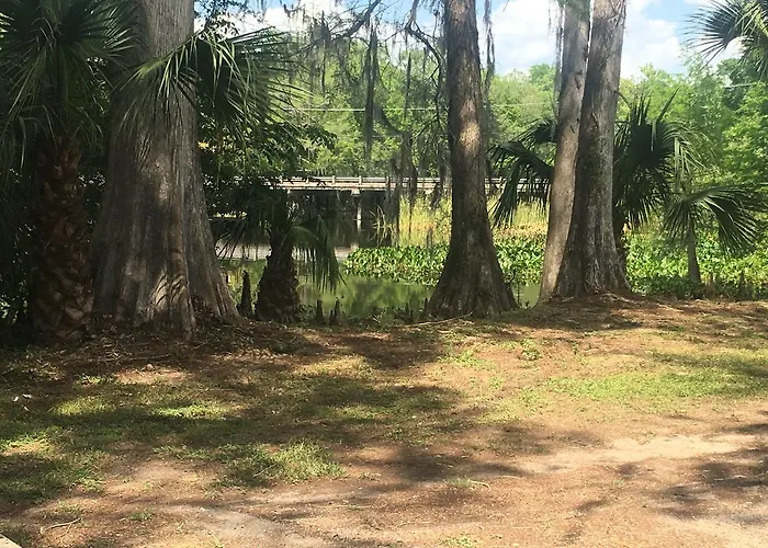 Big Cypress