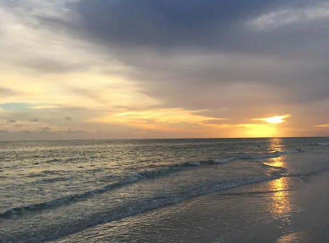 Oasis Villa Retreat Near Beaches & Img Academy, Mins To Downtown
