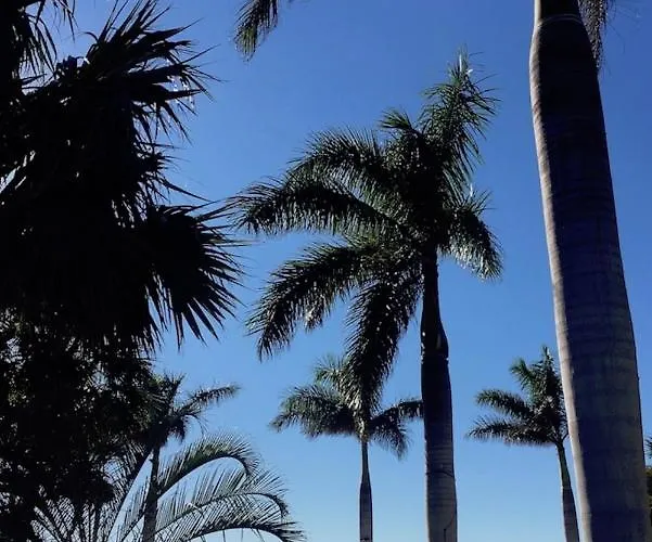 Bradenton Retreat Near Beaches & Img Academy, Mins To Downtown